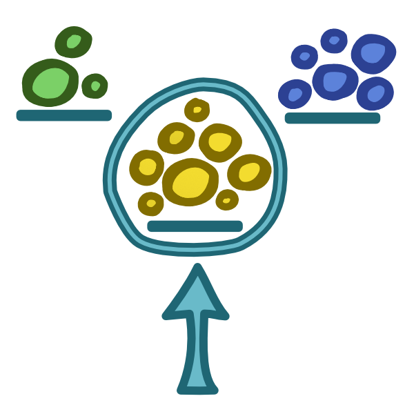 3 groups of circles with a blue line beneath each one. The first group is the smallest and its circles are green, the next is the largest and is yellow, the last is blue. A blue line with a lighter center wraps around the largest group and a blue arrow points to it from below.